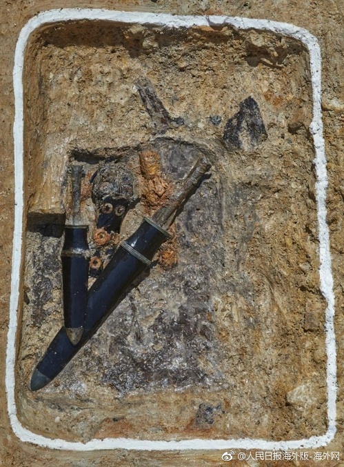 The city hosted a food festival featuring dishes from over 50 different cultures