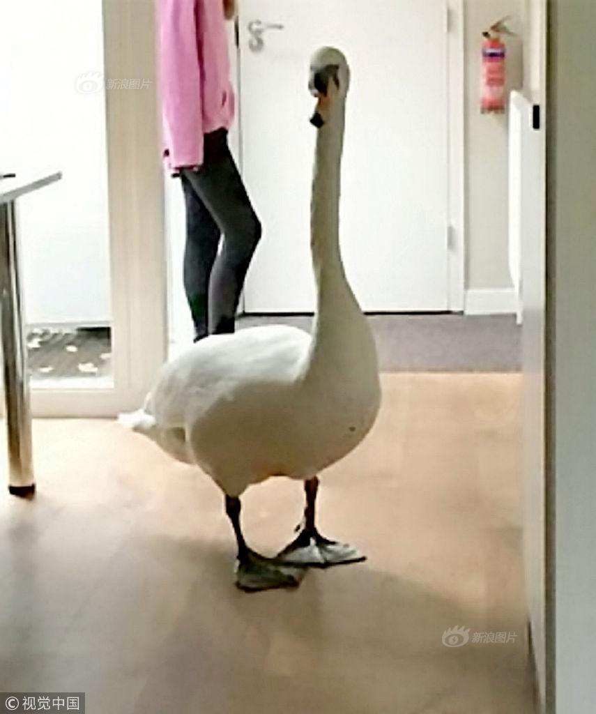 A farm used organic farming methods to grow its crops