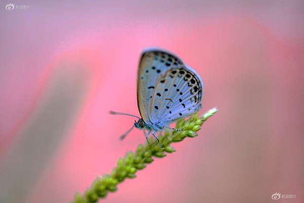 Movie theater announces plans to show classic films during weekday matinees