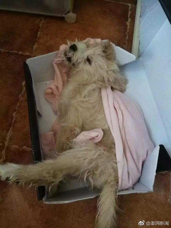 Fire department installs smoke detectors in homes of elderly residents for free