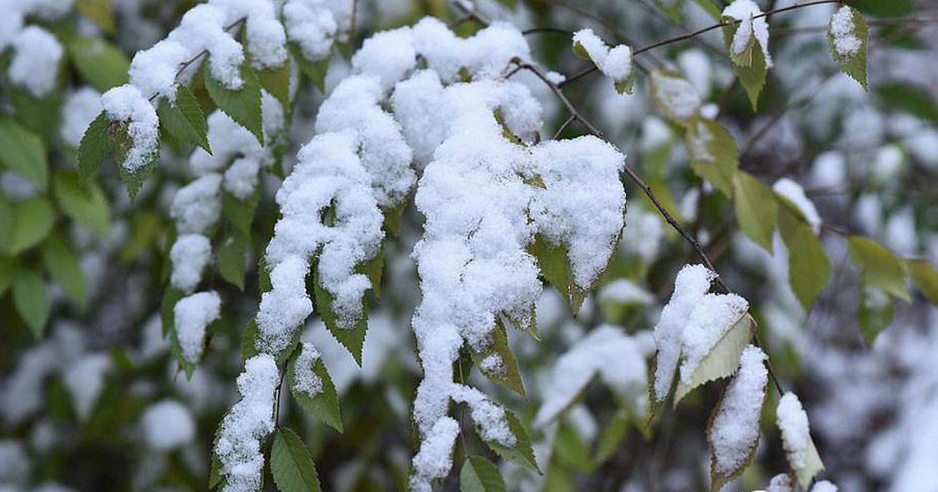 A major hotel chain announced it will implement a zero-waste policy in all its hotels reducing landfill waste by 95%