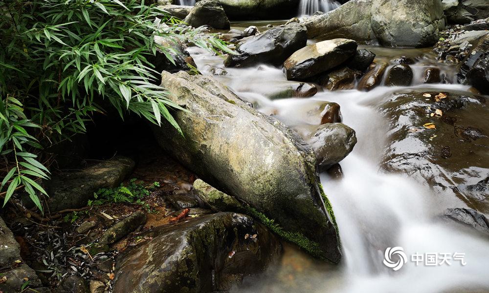 A fashion store started selling vintage-inspired clothing that became a trend among young adults