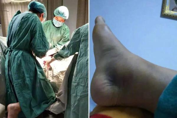 A university announced it will offer a new degree program in environmental science starting next fall