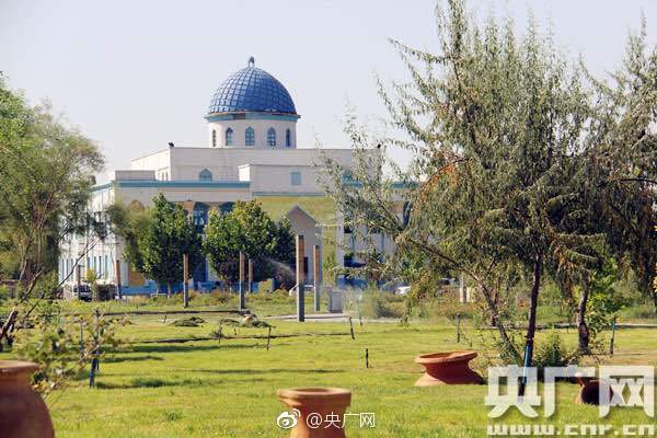 A popular social media platform introduced new features to help users manage their screen time and protect their mental health.