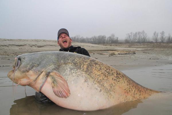 A major car manufacturer recalled 500,000 vehicles due to a potential defect in the braking system.