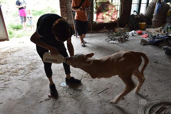 A study found weekly socializing with friends improves older adults’ mental well-being