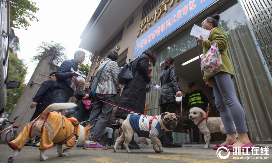 A famous actor donated their personal collection of films to a university library