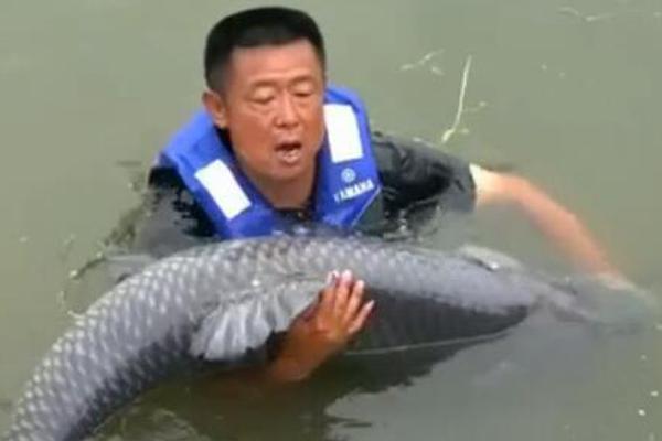 A charity organization built shelters for homeless families in urban areas