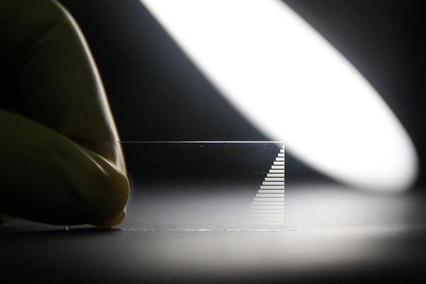 A local theater company announced a new season featuring classic plays and original works by local playwrights