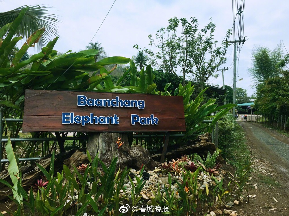 A major retailer announced plans to offer free shipping on all online orders