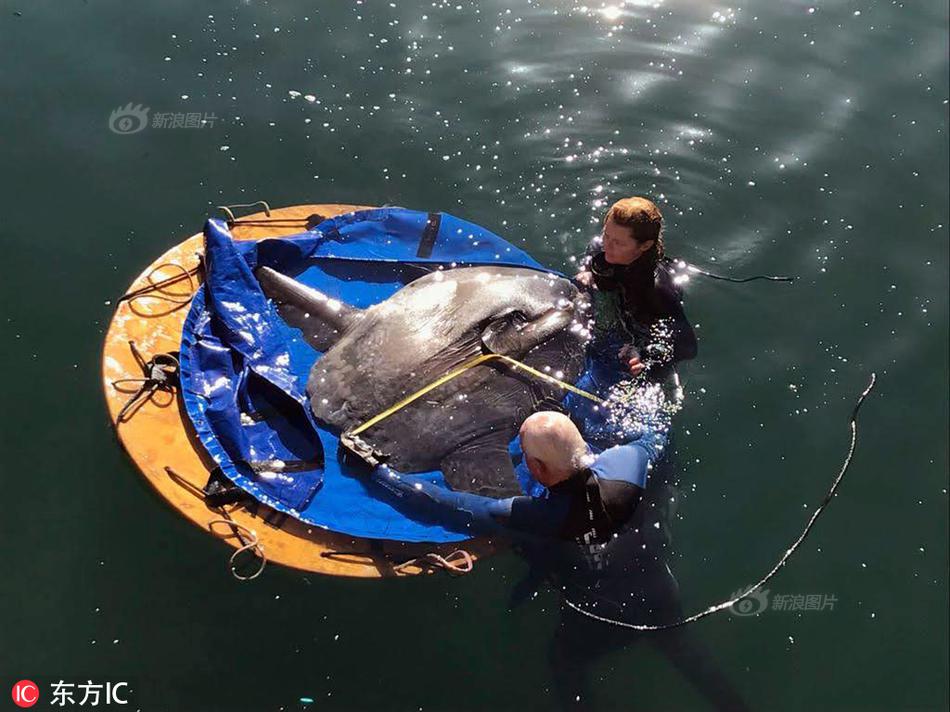 A group of parents organized a campaign to reduce screen time for children in schools