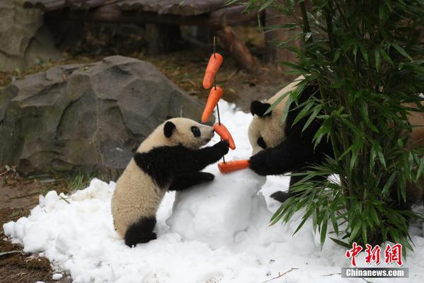 A bookstore chain announced it would host monthly author readings for local writers