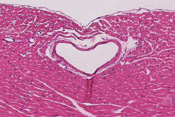 The government invested $400 million in building new solar farms in the southwest