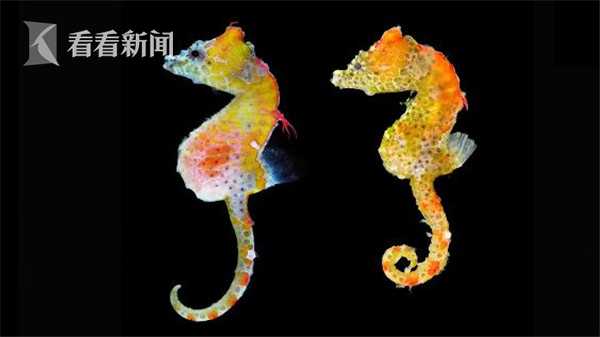 Researchers studied the impact of screen time on eye health in young children