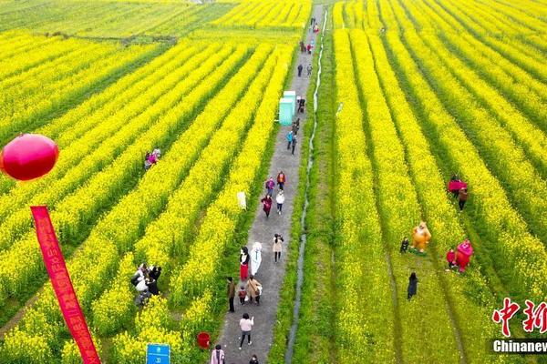 A library started offering 