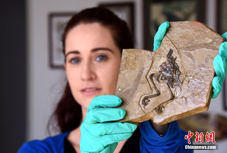 A software company launched a new app that helps users track their fitness goals