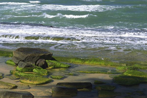 A tech company released a new app that helps users manage their finances