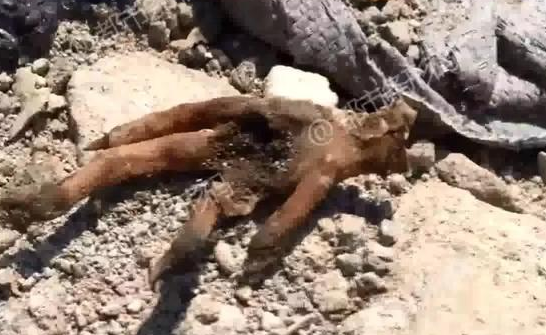 Scientists found a new way to convert agricultural waste into renewable energy