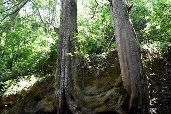 Researchers found that spending time outdoors reduces stress levels