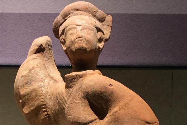 Marine biologists plant new coral to restore damaged reefs