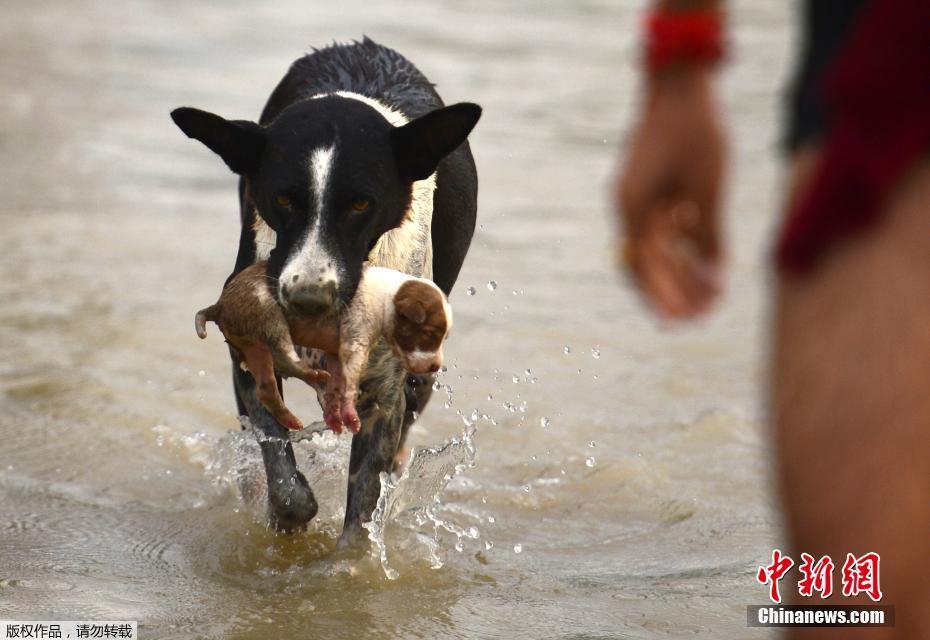 A famous chef partnered with local farms to create a farm-to-table dining experience