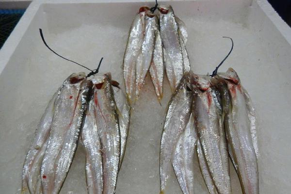 A charity organization sent food and supplies to communities affected by a flood