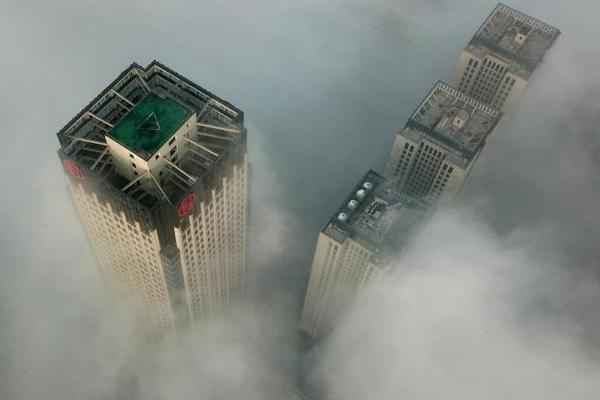 A team of veterinarians provided free health checks for pets at a community center