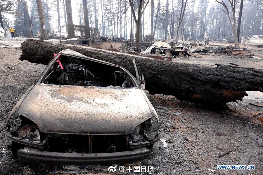 Camera store offers photography classes for beginners on weekends