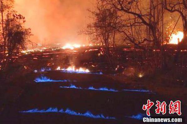 The government launched a campaign to encourage people to vote in the upcoming election