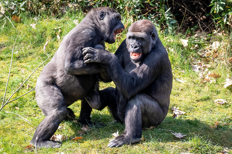 A grocery store started labeling products with their origin to help customers support local farmers
