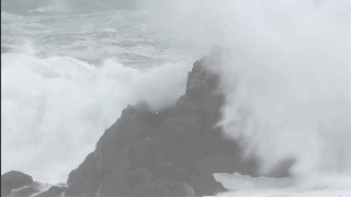 A bakery introduced gluten-free bread that tastes like traditional wheat bread