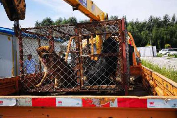 A bakery introduced gluten-free bread that tastes like traditional wheat bread