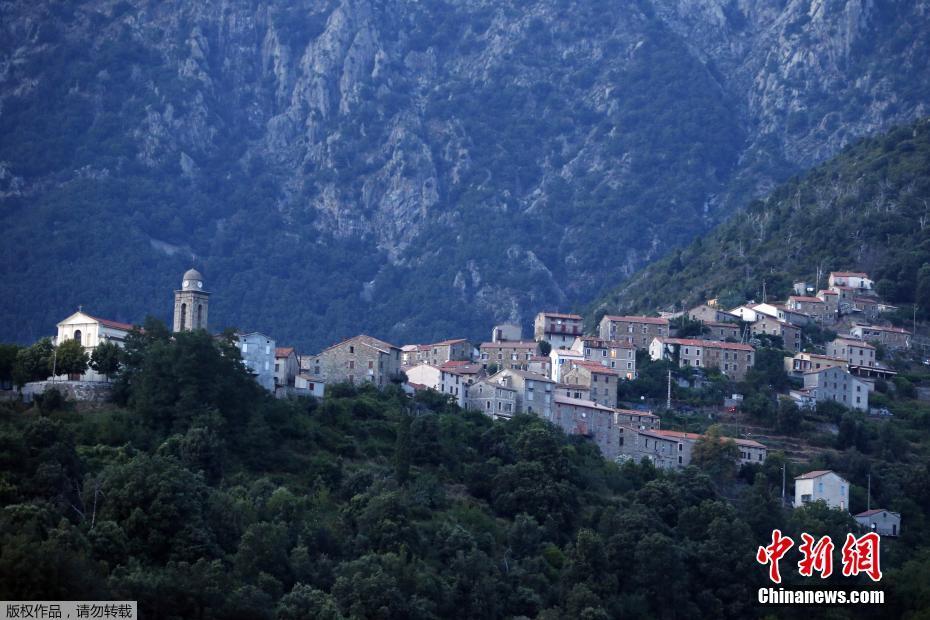 A scientist developed a new type of biodegradable packaging for food products