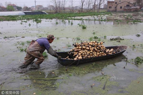 A farm transitioned to organic farming methods, eliminating the use of synthetic fertilizers and pesticides