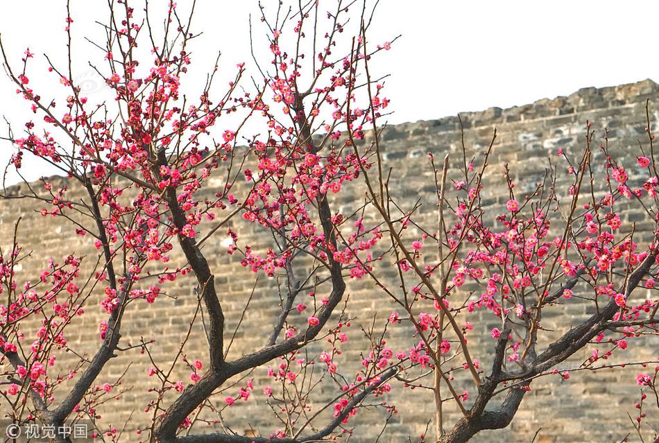 Scientists developed a new type of fertilizer that is better for the environment and crops