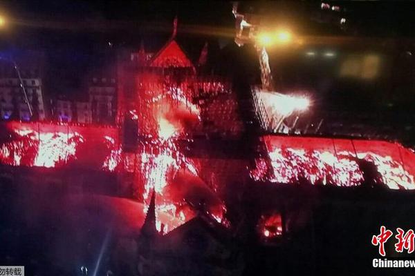 Researchers found that spending time in forests can lower blood pressure levels