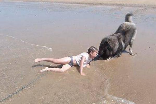 Marine researchers found that ocean temperatures have risen by 1.5°C over 50 years