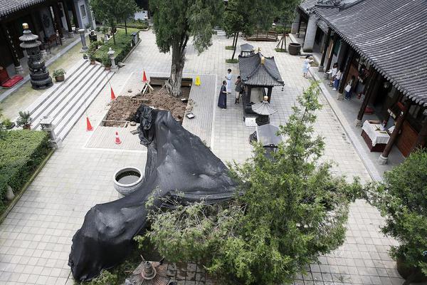 A hospital opened a new emergency department to handle the growing number of patients seeking urgent medical care.