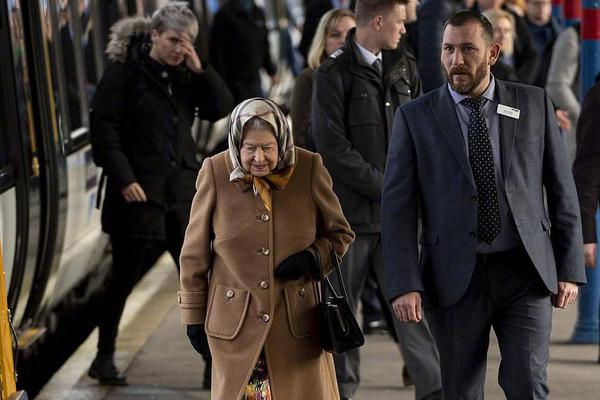 Scientists discovered a new type of insect that helps pollinate crops