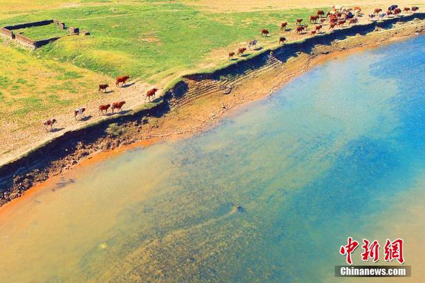 A new animal rescue center opened to care for injured wildlife in the countryside