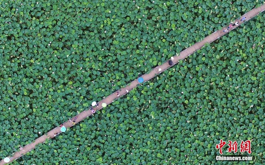 The city council approved plans to create a new hiking trail around a local lake