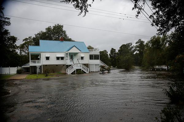 A museum hosted a night event with live music, art displays, and food trucks