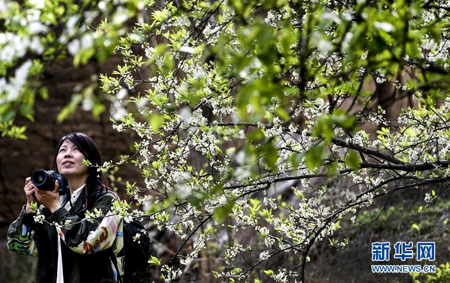 Local businesses hosted a street festival with live music and craft vendors to attract customers