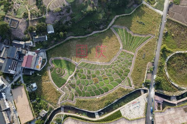 A pet store started offering monthly wellness checks for dogs and cats at a discounted rate