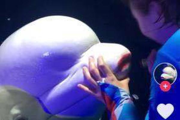 A construction company used solar power to run its equipment during a project