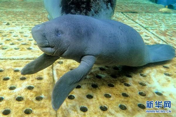 The local community organized a parade to celebrate the city's founding anniversary