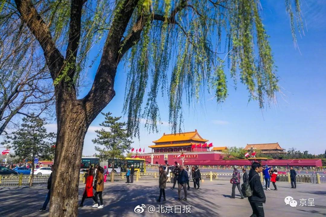 Local businesses reported a 20% increase in sales during the holiday season compared to the previous year.