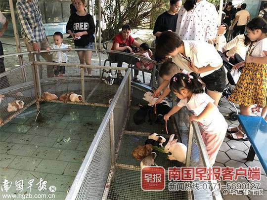 Engineers completed construction of a new suspension bridge connecting two coastal towns