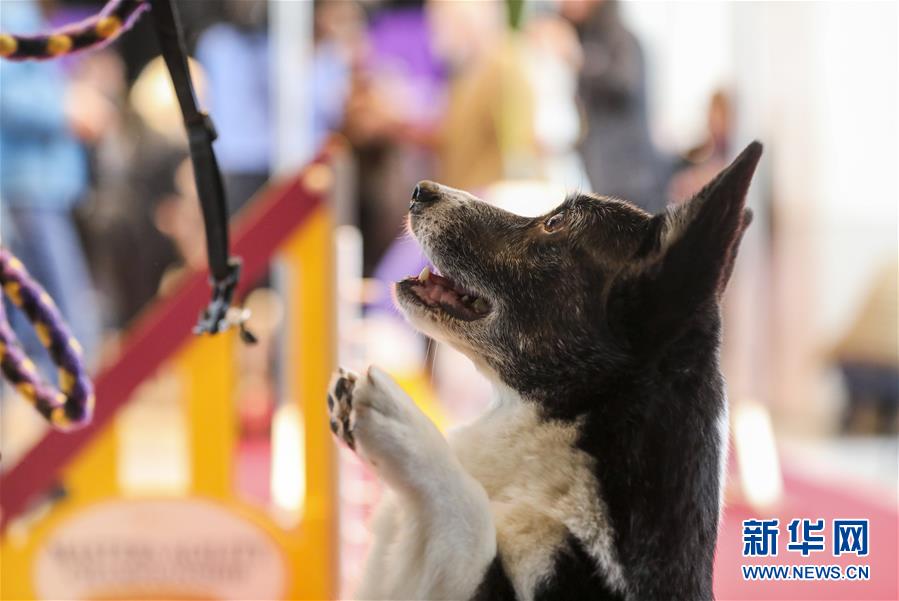 Gardening experts share tips for growing vegetables in small spaces