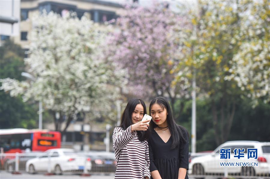 Local police reported a 16% drop in traffic violations after launching a public awareness campaign